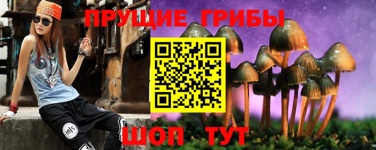 Галлюциногенные грибы Magic Shrooms  Галлюциногенные грибы Psilocybine cubensis  Вход с VPN  Печора 